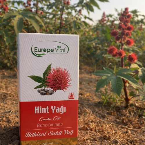Hint Yağı 50 ml